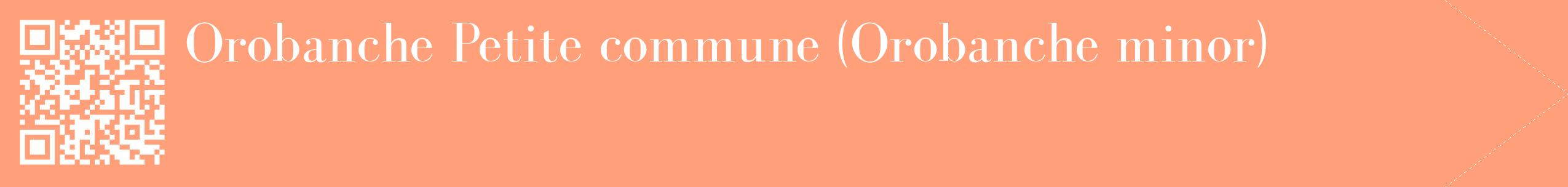 étiquette 2