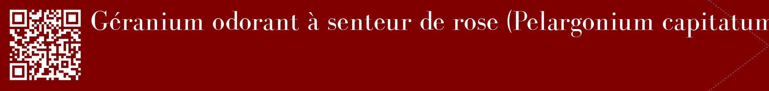étiquette 2