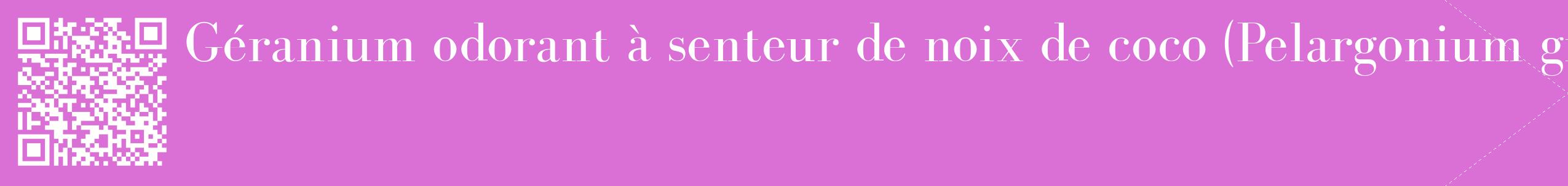 étiquette 2