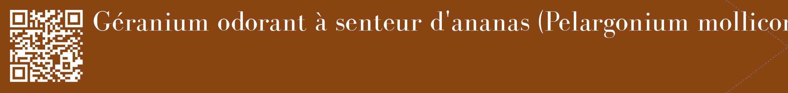 étiquette 2