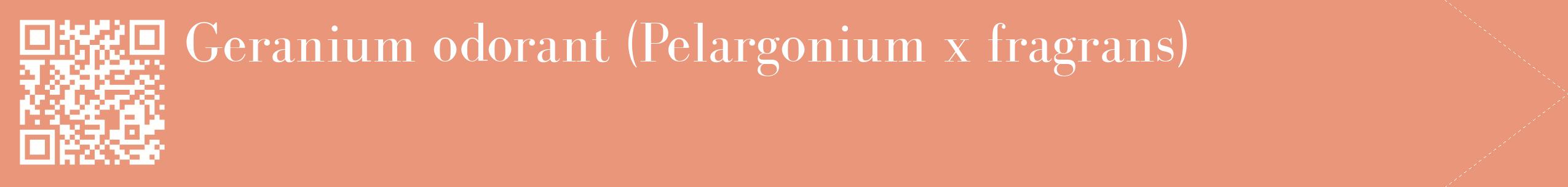 étiquette 2