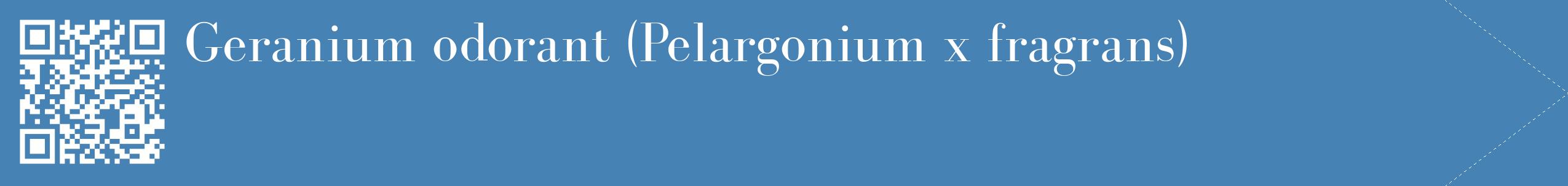 étiquette 2