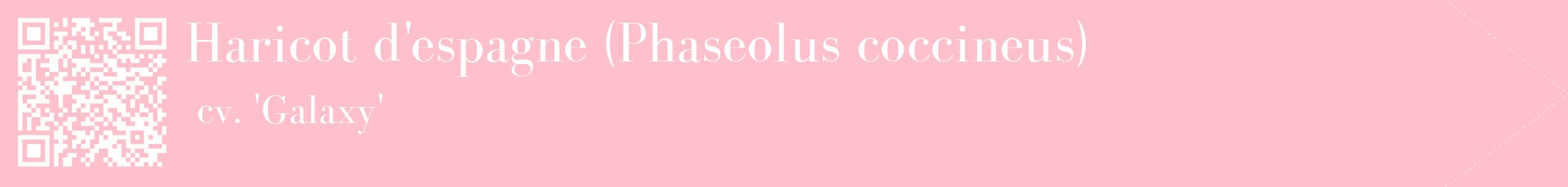 étiquette 2