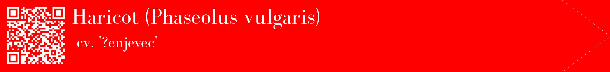 étiquette 2