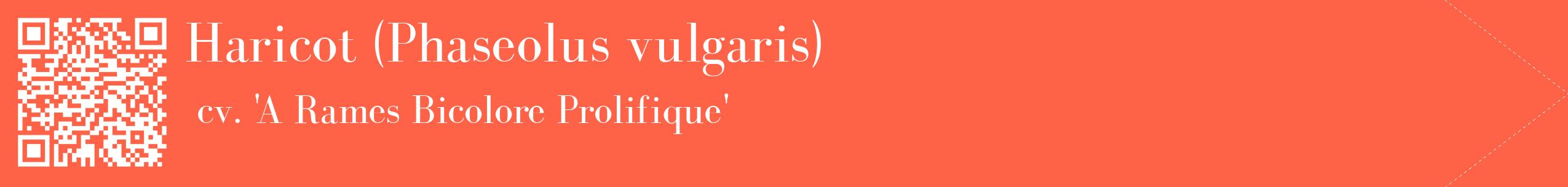 étiquette 2