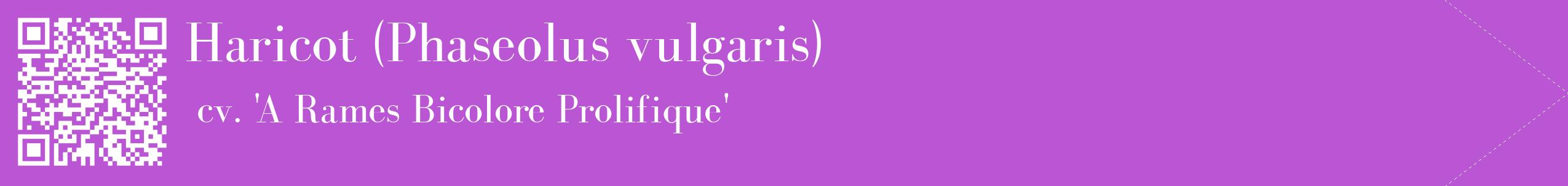 étiquette 2