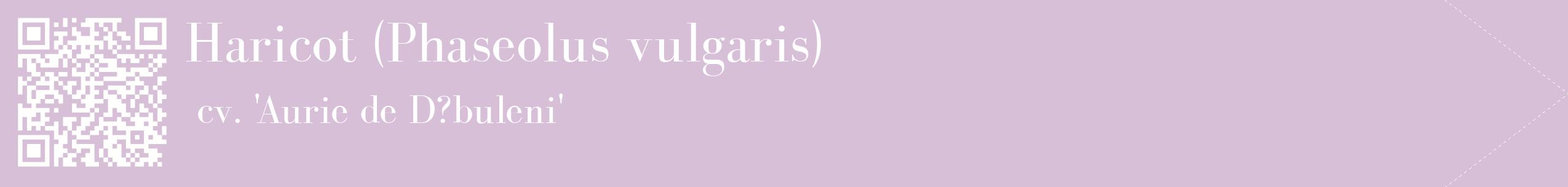 étiquette 2