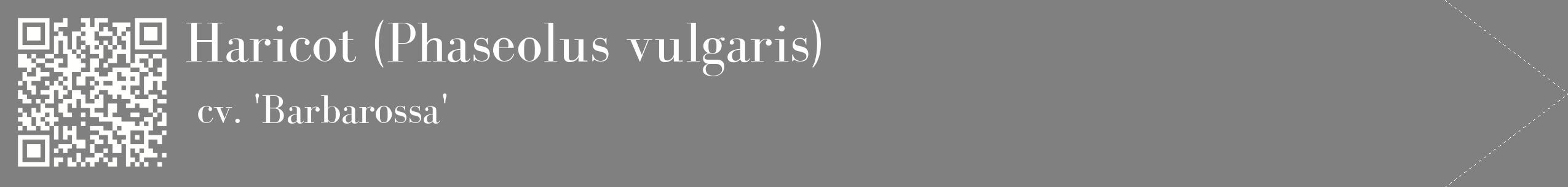 étiquette 2