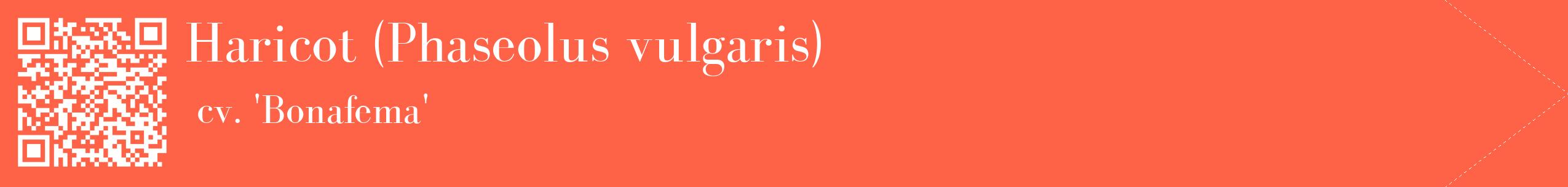 étiquette 2