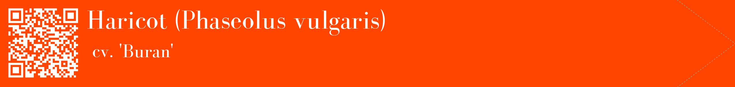 étiquette 2