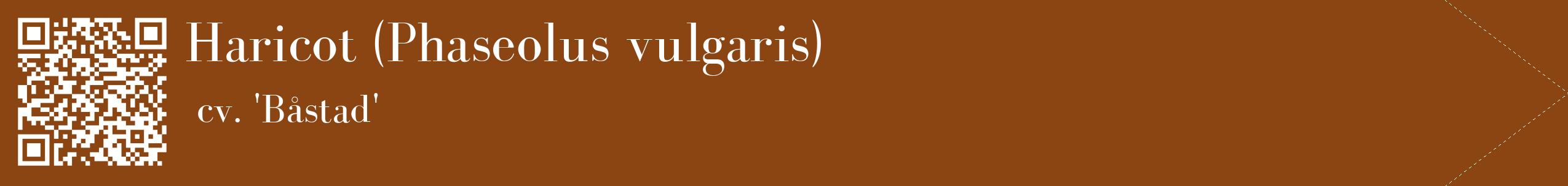 étiquette 2