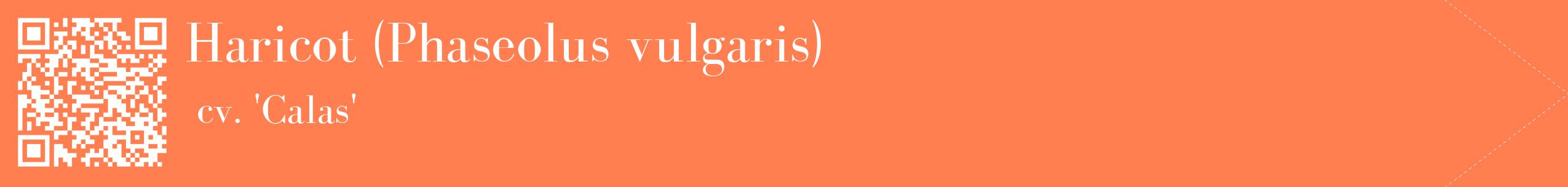 étiquette 2