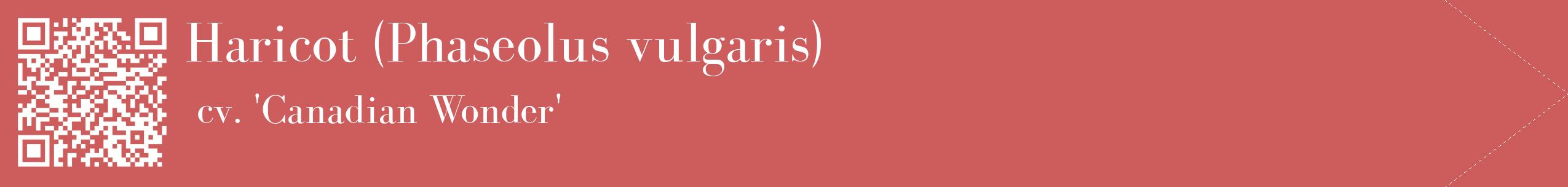 étiquette 2