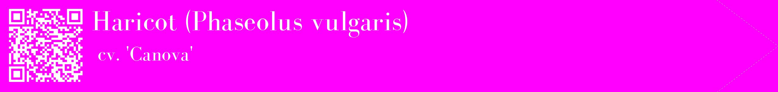 étiquette 2