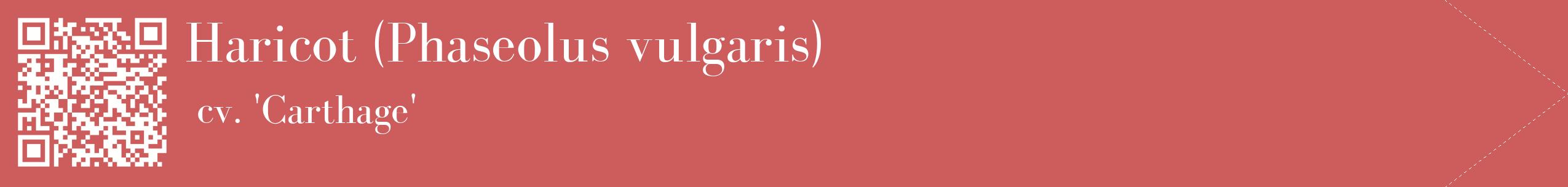étiquette 2