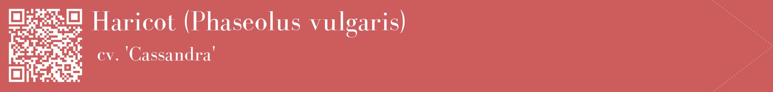 étiquette 2