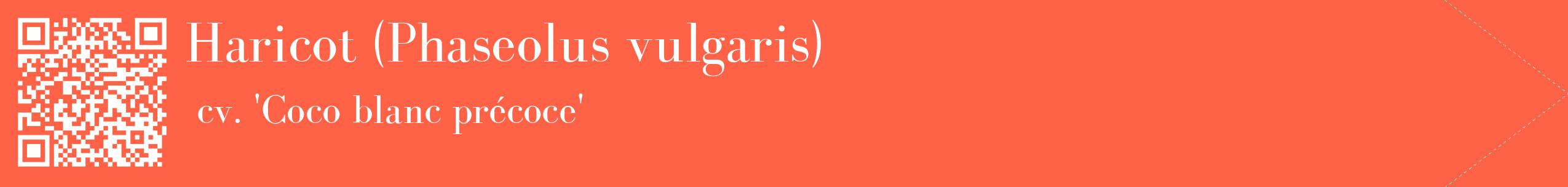 étiquette 2