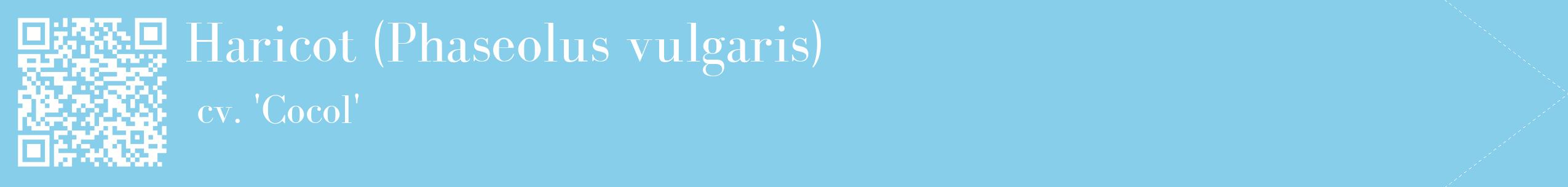 étiquette 2