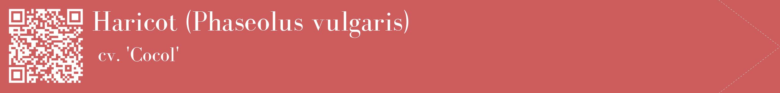 étiquette 2
