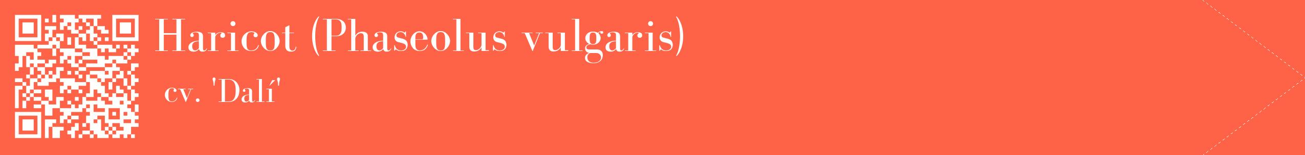 étiquette 2
