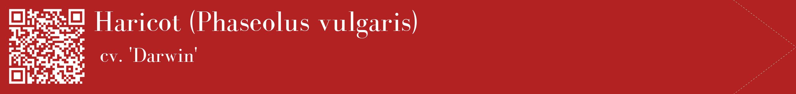 étiquette 2