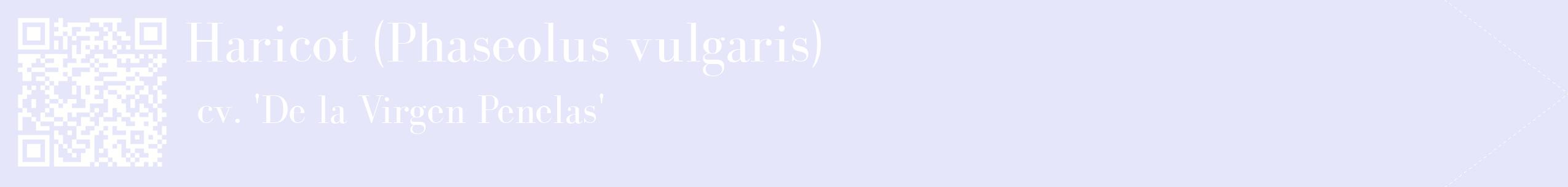étiquette 2