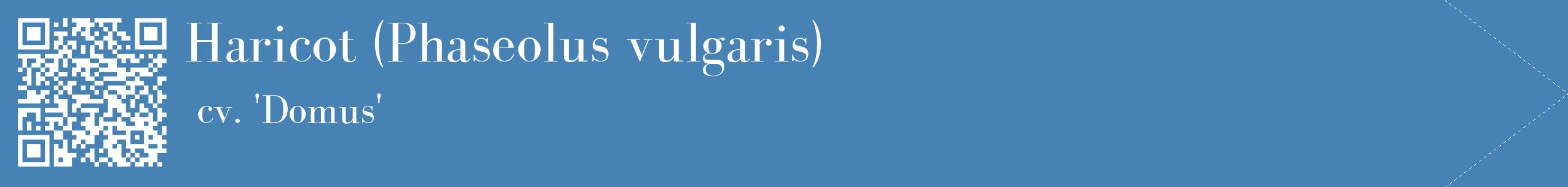 étiquette 2