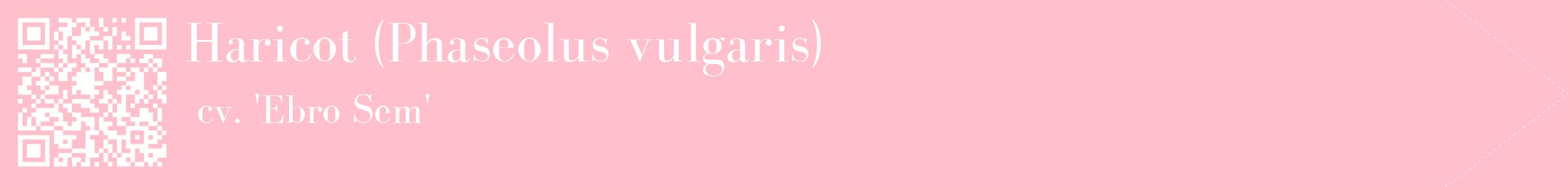 étiquette 2