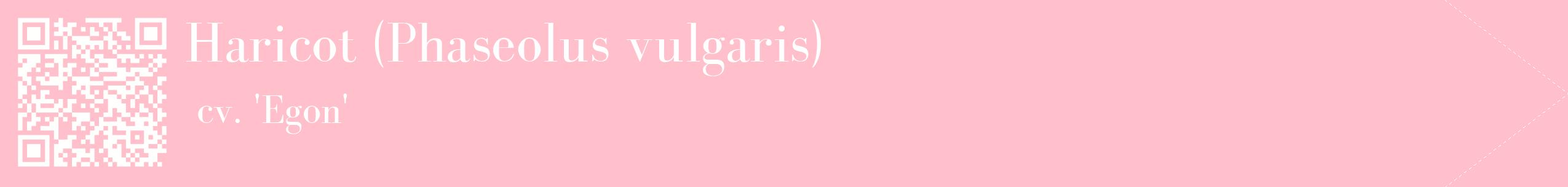 étiquette 2