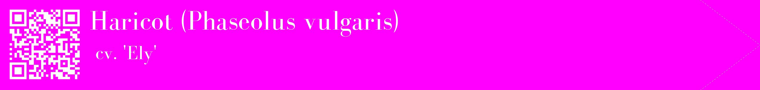 étiquette 2