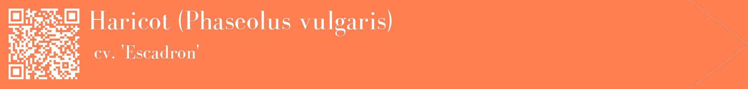 étiquette 2