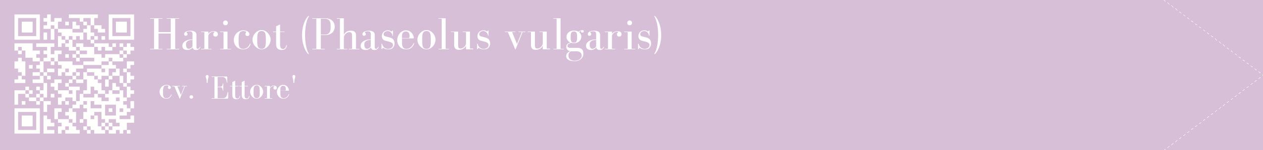 étiquette 2