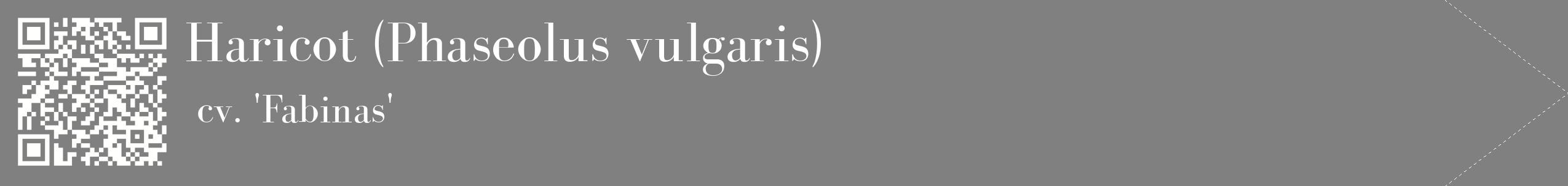 étiquette 2