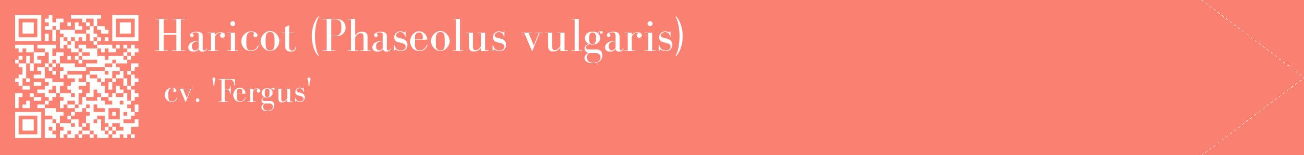 étiquette 2