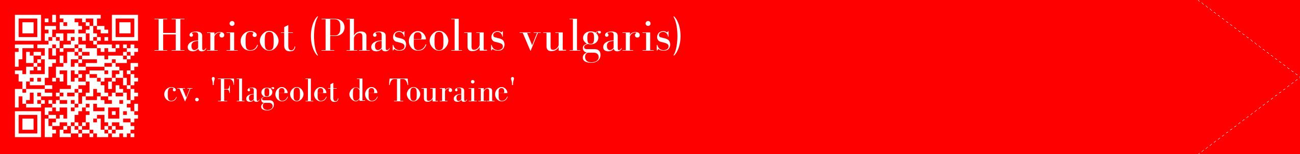 étiquette 2