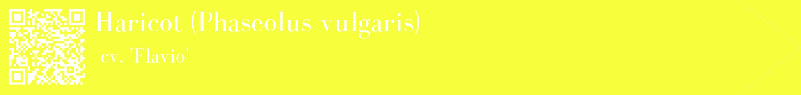 étiquette 2