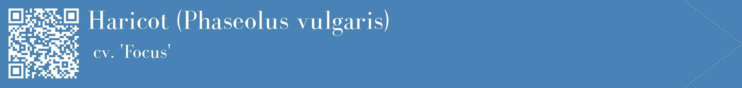 étiquette 2