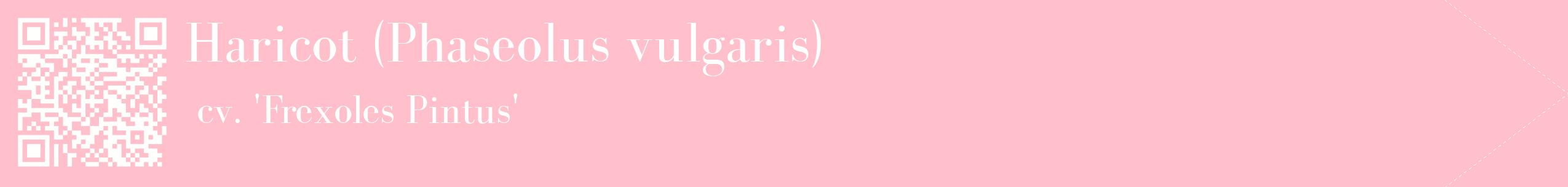 étiquette 2