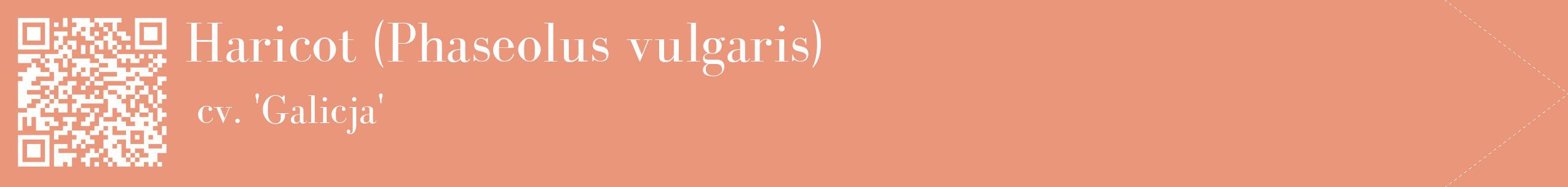 étiquette 2