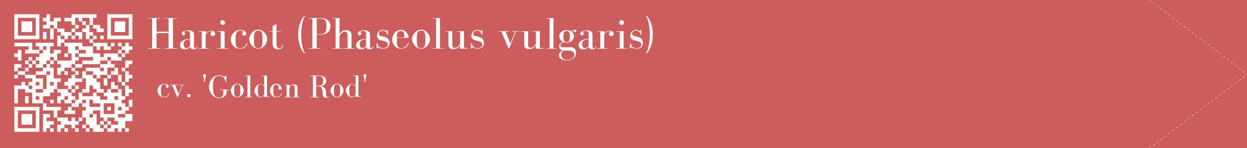 étiquette 2