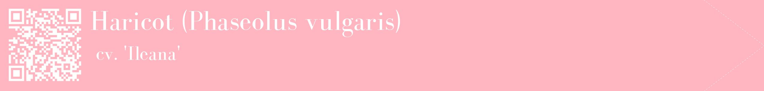 étiquette 2