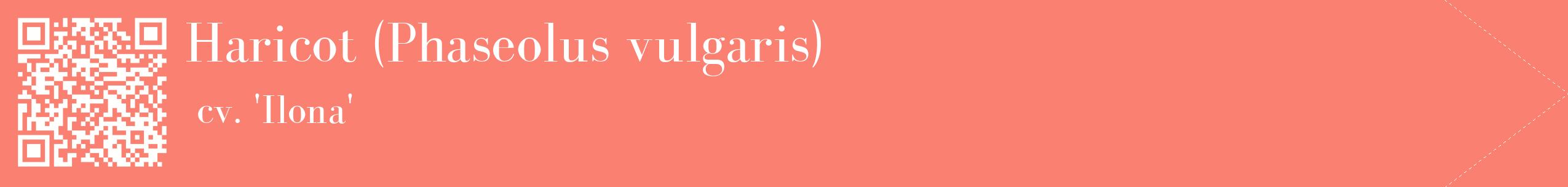 étiquette 2