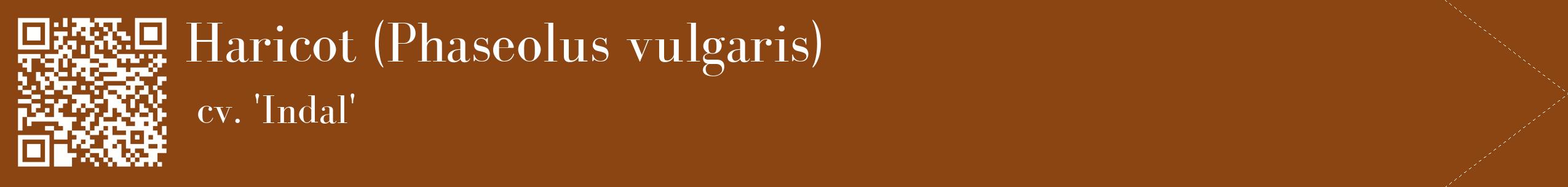 étiquette 2