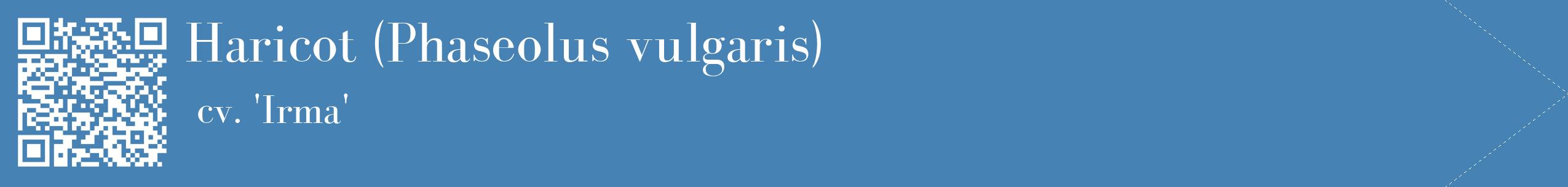 étiquette 2