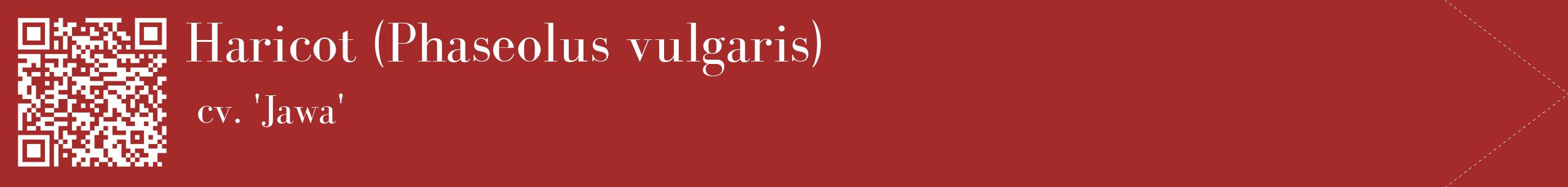 étiquette 2