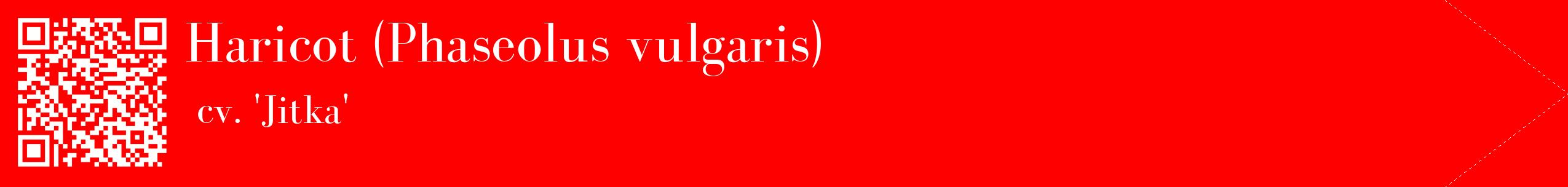 étiquette 2