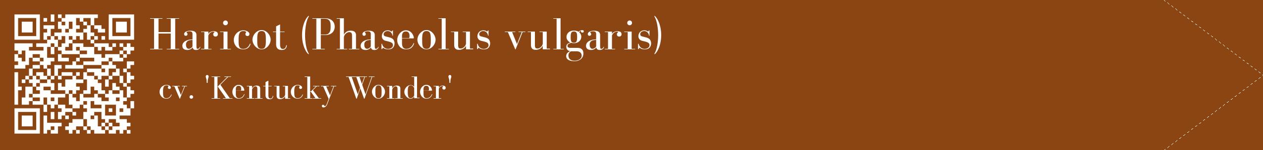 étiquette 2