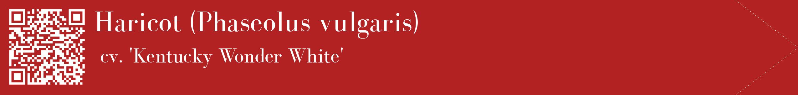 étiquette 2