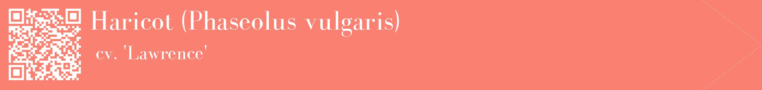 étiquette 2