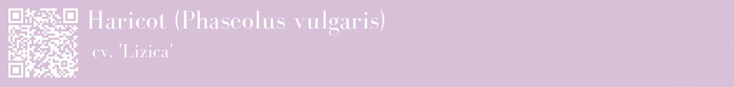 étiquette 2